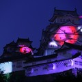 写真: 目つきの悪い姫路城