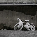 写真: 白い自転車