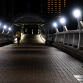 Photos: 駅へと続く歩道橋