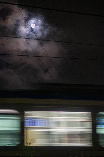 写真: 月と電車