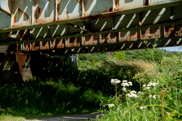 鉄橋と花