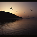 写真: 奥琵琶湖
