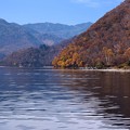 Photos: 秋の湖畔