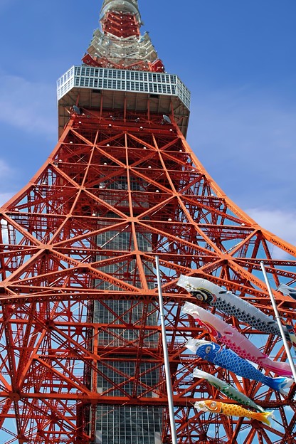 写真: 東京タワーと鯉のぼり
