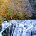 写真: 袋田の滝