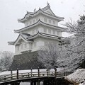 写真: 雪の忍城