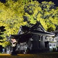 Photos: 玉敷神社・ライトアップ