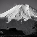 写真: 早春の富士