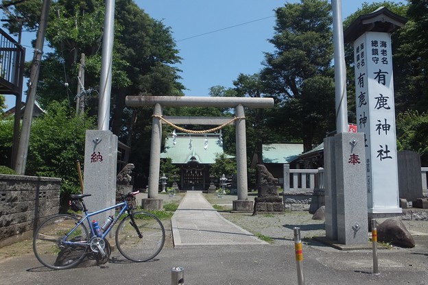 写真: 有鹿神社本宮
