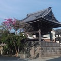 本覚寺鐘楼