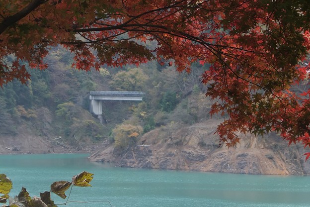 写真: もみぢ／宮ヶ瀬湖