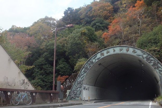 写真: 向山トンネル