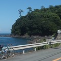 写真: 琴ケ浜海岸