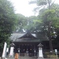 写真: 前鳥神社拝殿／幸せの松