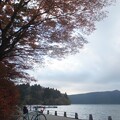 写真: もみぢ／芦ノ湖