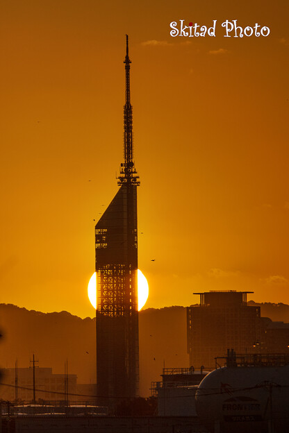 写真: 夕日とタワー