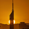 写真: 夕日とタワー