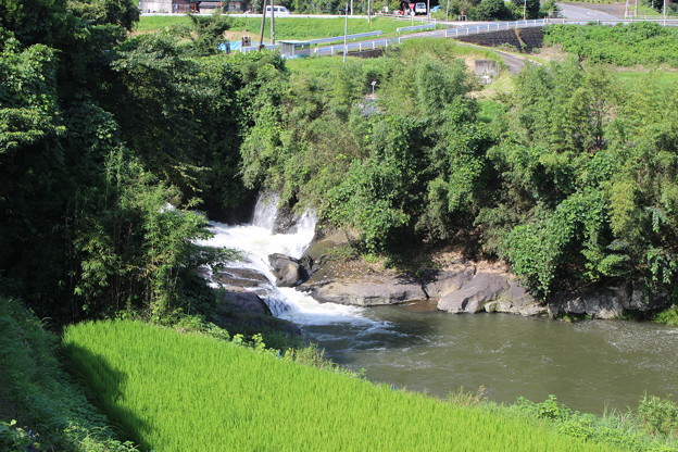 写真: 松尾橋下流側