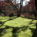 写真: 京の秋