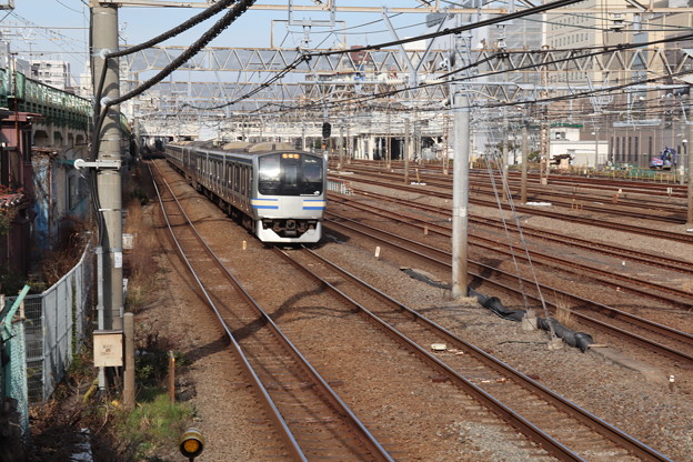 写真: 横須賀線