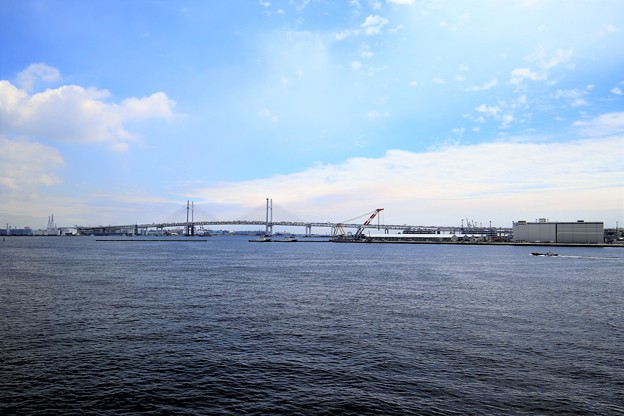 写真: 横浜港
