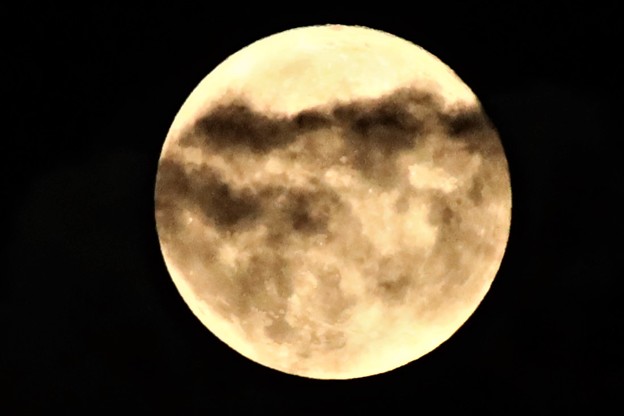 写真: 中秋の名月