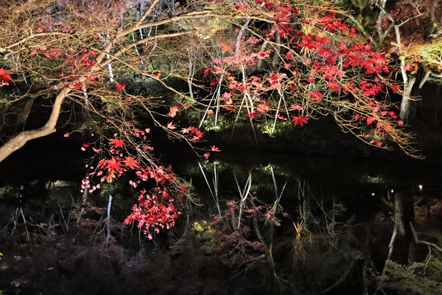 写真: 京都