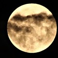 写真: 満月