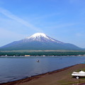 写真: 6月の富士