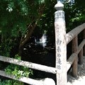 写真: 横浜白糸の滝