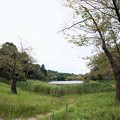 写真: 三ツ池公園