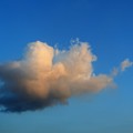 写真: 染まる雲