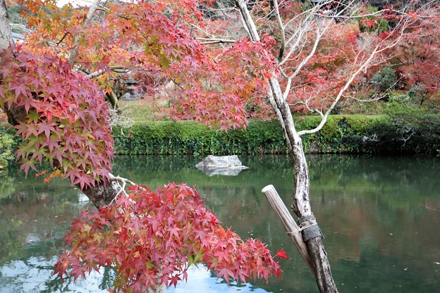 写真: 京都
