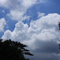 写真: 入道雲