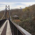 写真: つつじ吊り橋