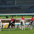 写真: 中山競馬場 誘導馬_8（21/04/11）