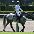 写真: 新潟競馬場 誘導馬・トラキアンコード_3（21/07/31）