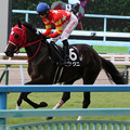 写真: ヒノクニ 返し馬（21/08/28・ひまわり賞）
