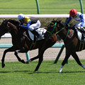 写真: ロムネヤ レース(21/09/20・新馬戦)