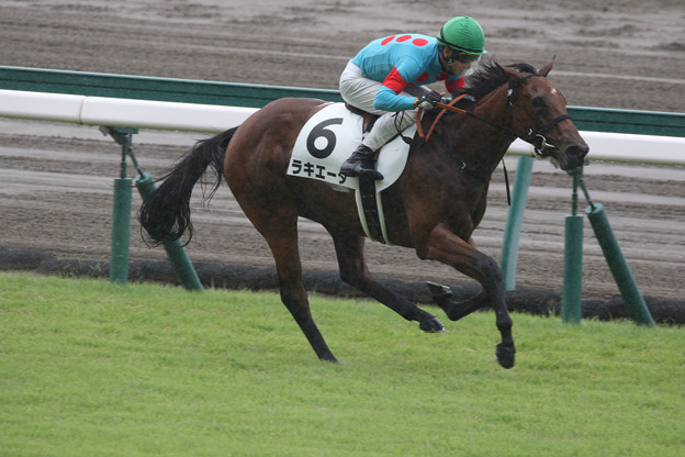 写真: ラキエータ レース（21/09/18・新馬戦）