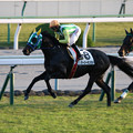 写真: ケージーキンカメ レース_2（19/11/09・12R）