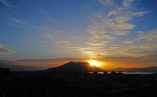 写真: 朝陽18