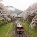 Photos: s64_山北の桜と御殿場線2536M313系電車S2編成