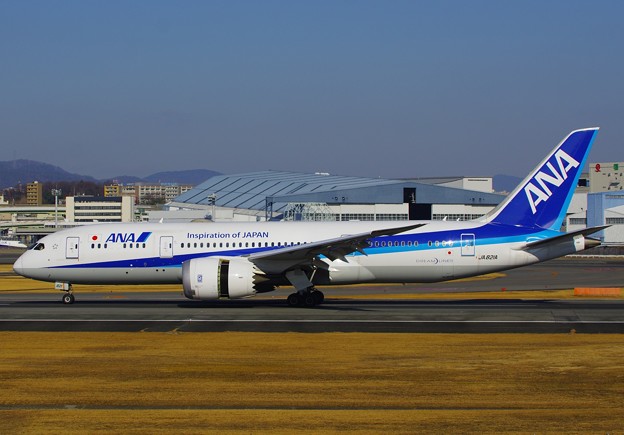 写真: All Nippon Airways JA821A