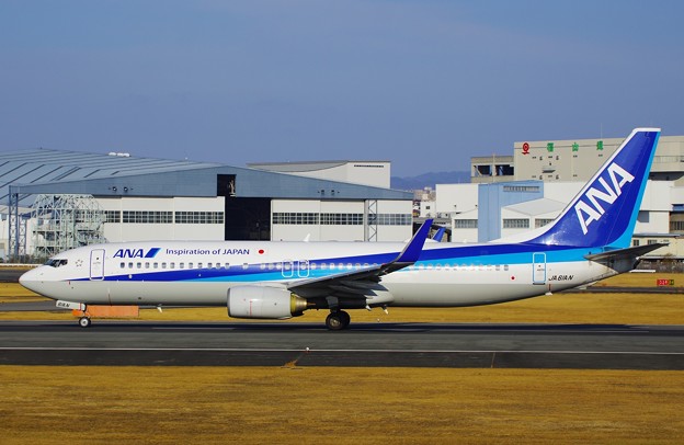 写真: All Nippon Airways JA61AN
