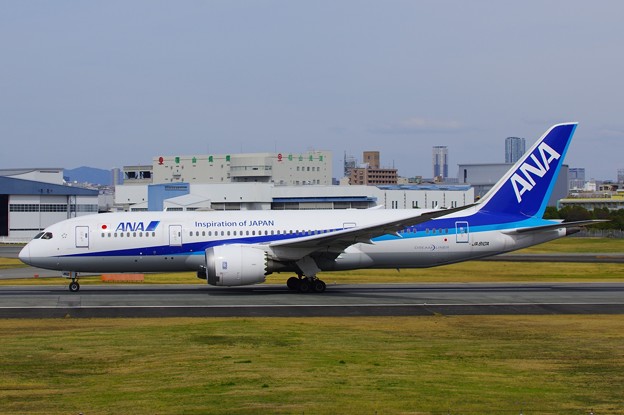 写真: All Nippon Airways JA810A