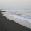 茅ヶ崎海岸　海その１１４６　IMG_4865