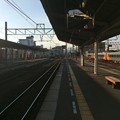 写真: 松山駅10