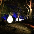 写真: チームラボ広島城光の祭１