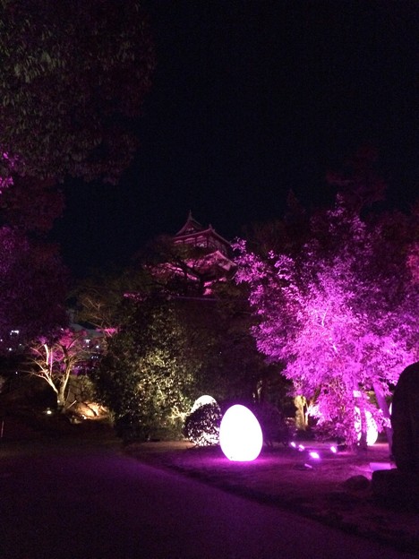 写真: チームラボ広島城光の祭16